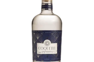 GIN De Javu